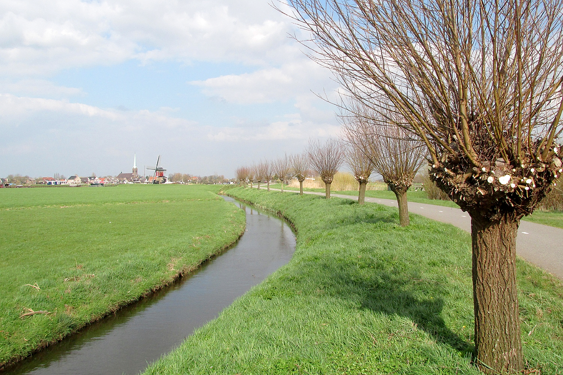 4, Molen 02492 Grosmolen (Hoogmade), Piet Glasbergen (22-3-2017) | Database Nederlandse molens