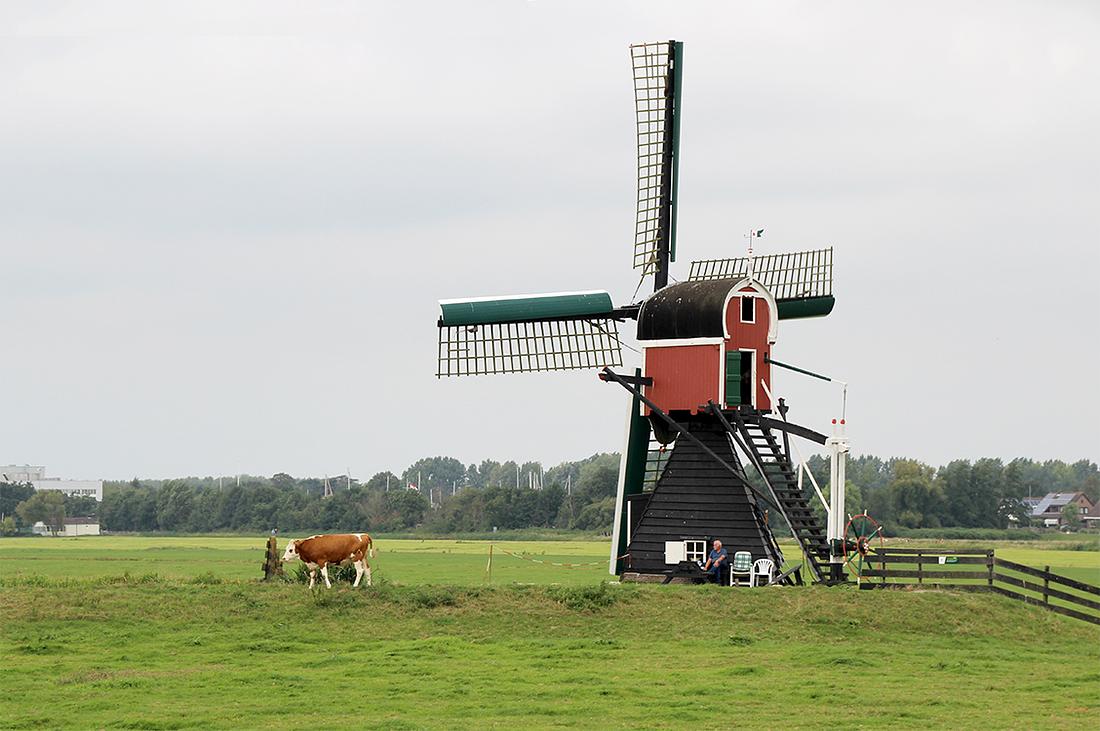 3, Molen 01798 De Kager (Kaag), Frank Alta (28-8-2016) | Database Nederlandse molens