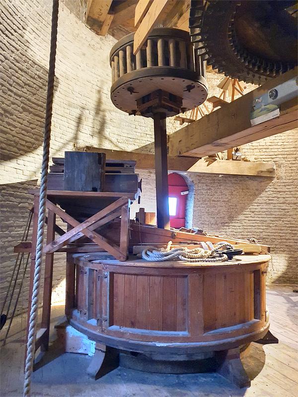 11, Molen 01781 De Geregtigheid (Katwijk), Pieter Zuijkerbuijk (3-1-2020) | Database Nederlandse molens