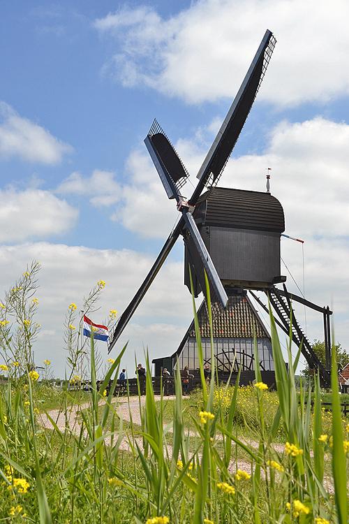 Molen 11663 De Blokker / Blokweerse wip (Alblasserdam (Kinderdijk)), Rob Pols (15-5-2015). | Database Nederlandse molens