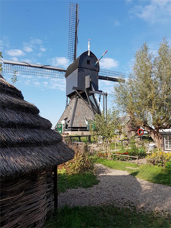 2, Molen 11663 De Blokker / Blokweerse wip (Alblasserdam (Kinderdijk)), Pieter Zuijkerbuijk (16-10-2018) | Database Nederlandse molens