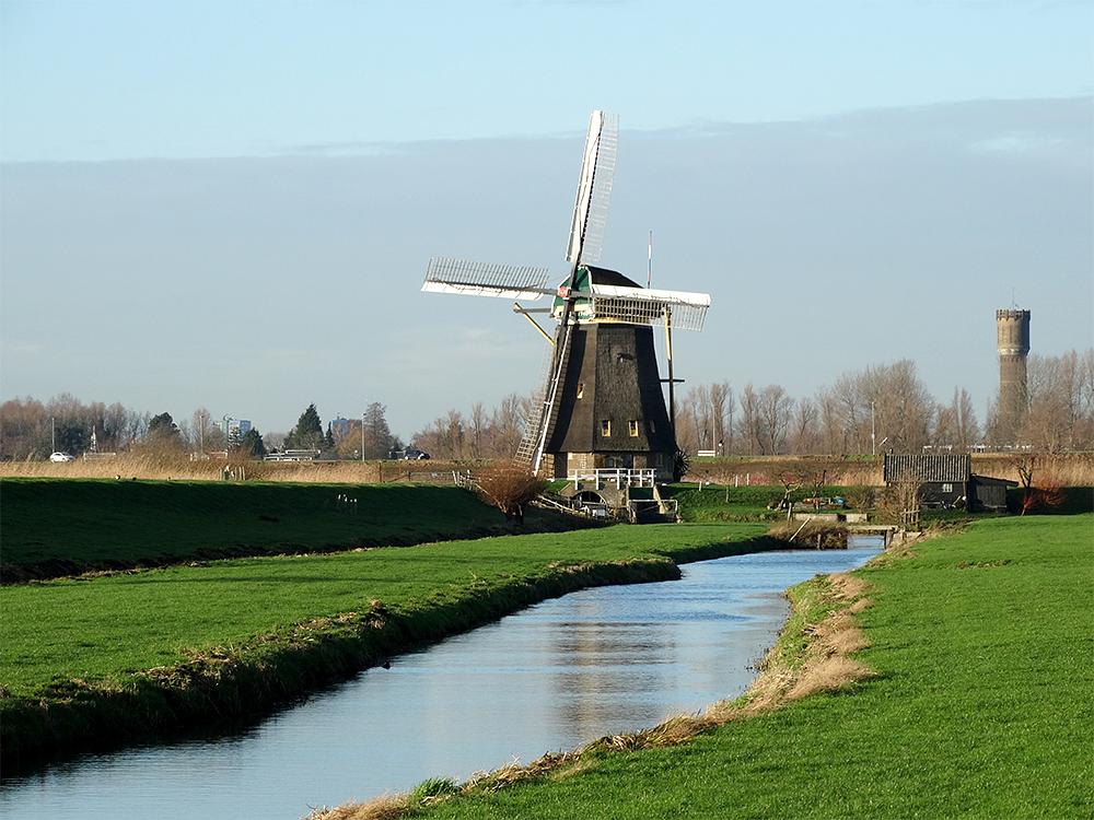 1, Molen 01509 De Hoge Molen (Nieuw-Lekkerland), Peter Donk (8-1-2016) | Database Nederlandse molens