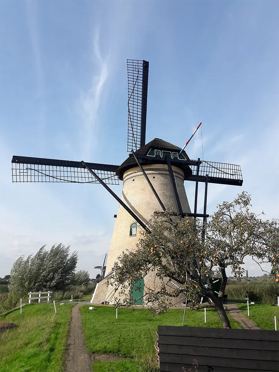 2, Molen 01515 bis Nederwaard Molen No.4 (Kinderdijk), J. Hoek (30-9-2022)Terug naar de oorspronkelijke kleurstelling, zoals die was voor 1955. | Database Nederlandse molens
