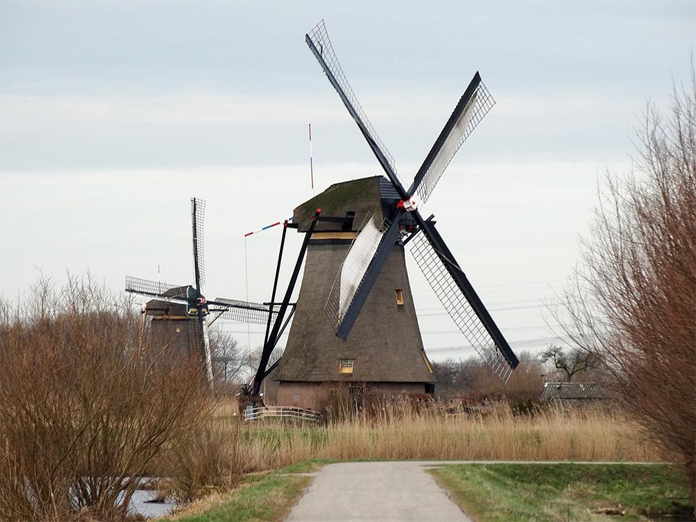 1, Molen 12589 Overwaard Molen No.2 (Kinderdijk), Peter Donk (28-2-2015) | Database Nederlandse molens