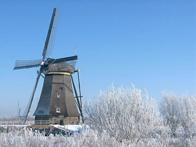 4, Molen 01503 Overwaard Molen No.3 (Kinderdijk), Cor en Tineke den Boer (4-2-2012). | Database Nederlandse molens