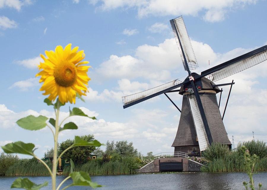 5, Molen 01503 Overwaard Molen No.3 (Kinderdijk), Cor en Tineke den Boer (3-8-2013). | Database Nederlandse molens