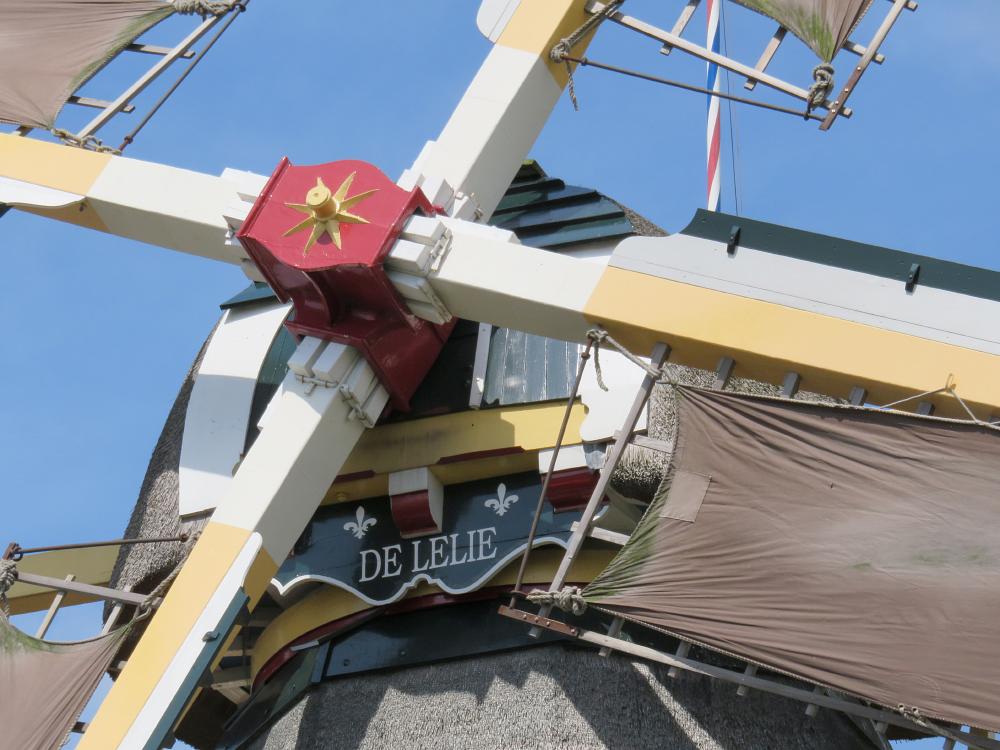 6, Molen 01760 De Lelie (Rotterdam), William Bouter (26-7-2017) | Database Nederlandse molens