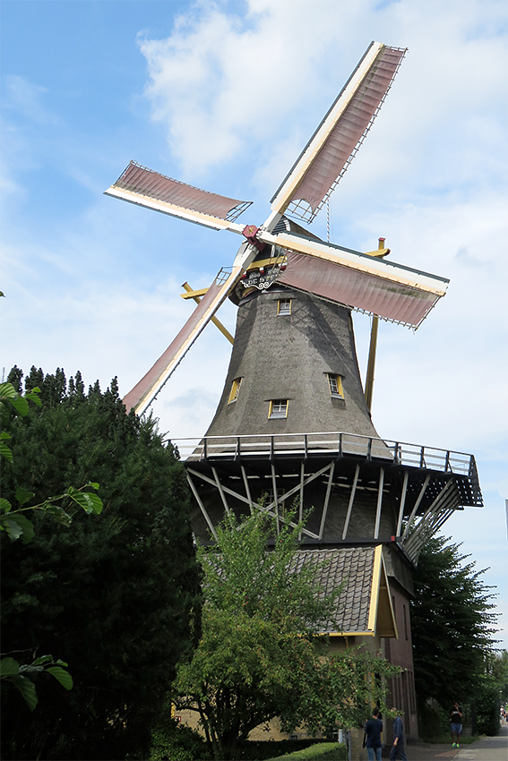 Molen 10673 De Ster (Rotterdam), William Bouter (26-7-2017) | Database Nederlandse molens