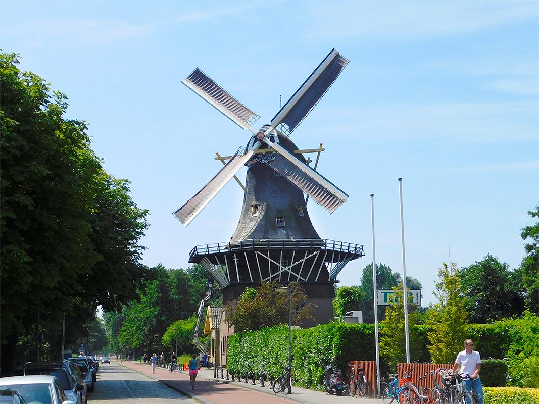 1, Molen 10673 De Ster (Rotterdam), Piet Glasbergen (27-6-2018) | Database Nederlandse molens