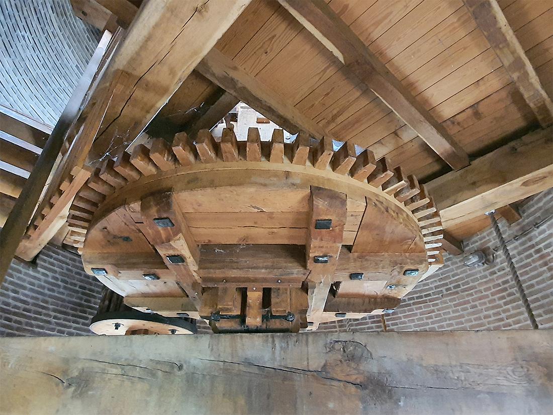 14, Molen 10681 Onverwacht / Schelvenaer (Krimpen aan den IJssel), Pieter Zuijkerbuijk (10-6-2020) | Database Nederlandse molens
