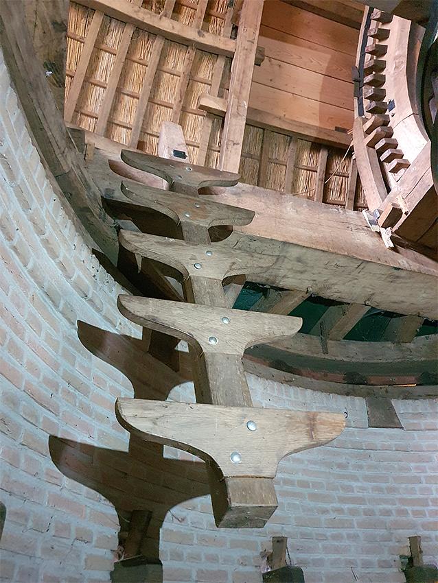 17, Molen 10681 Onverwacht / Schelvenaer (Krimpen aan den IJssel), Pieter Zuijkerbuijk (10-6-2020) | Database Nederlandse molens