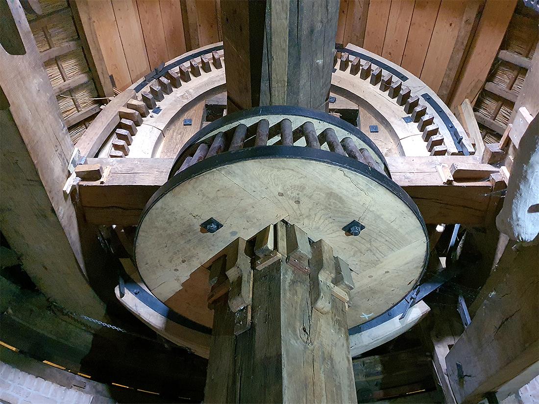 18, Molen 10681 Onverwacht / Schelvenaer (Krimpen aan den IJssel), Pieter Zuijkerbuijk (10-6-2020) | Database Nederlandse molens
