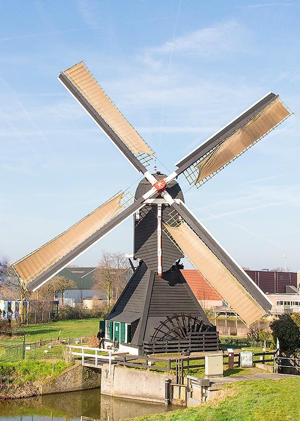Molen 01212 Ter Leede (Leerdam), Frank Hendriks (23-2-2019) | Database Nederlandse molens