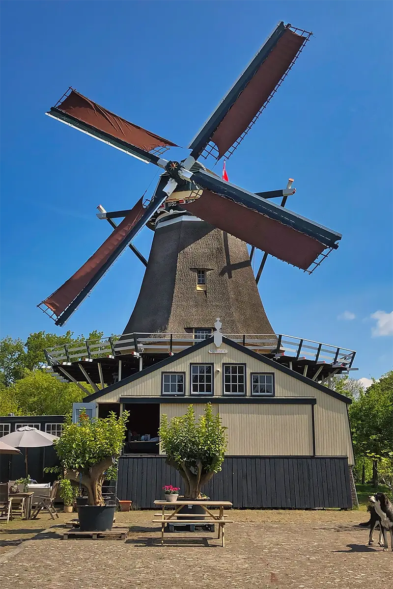 Molen 00991 De Herder (Leiden), Frank Moerland (6-5-2022) | Database Nederlandse molens