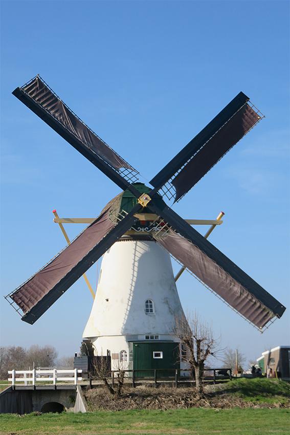 Molen 01499 Kortlandse molen (Alblasserdam), William Bouter (23-2-2019) | Database Nederlandse molens