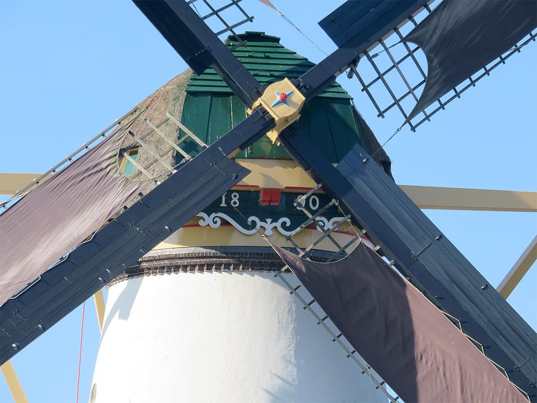 7, Molen 01499 Kortlandse molen (Alblasserdam), William Bouter (23-2-2019) | Database Nederlandse molens