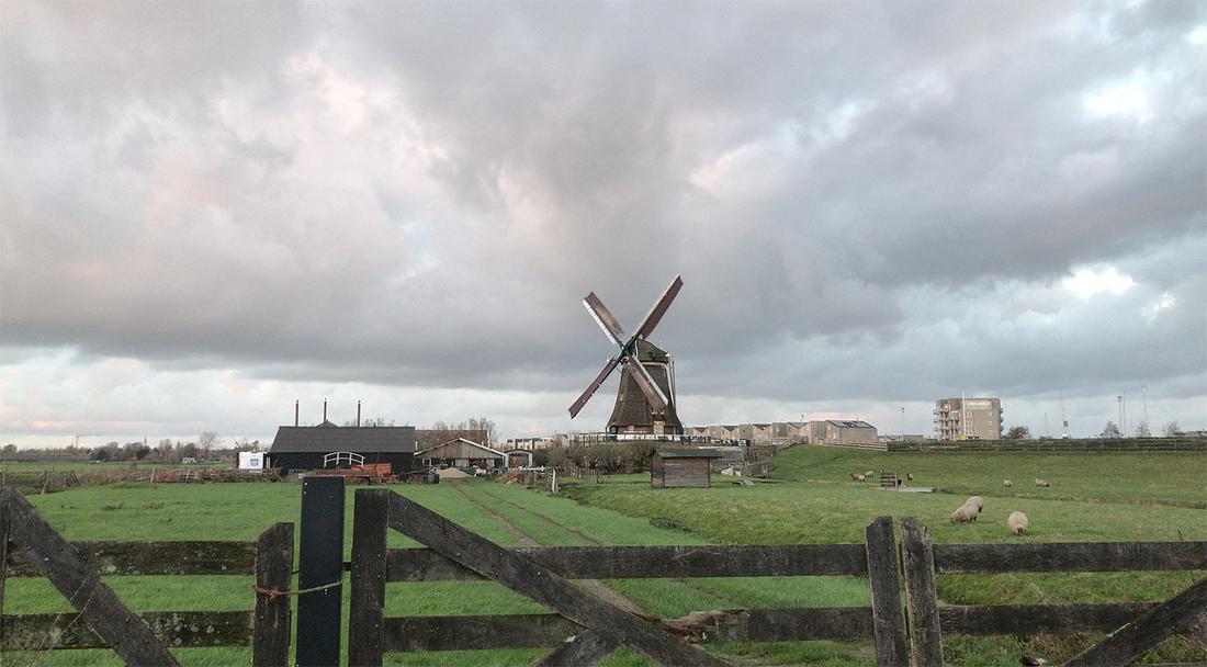 4, Molen 00056 Vrouwgeestmolen (Alphen aan den Rijn), Bjorn Jannink (12-11-2020)Een gezicht op de molen vanuit de polder. | Database Nederlandse molens