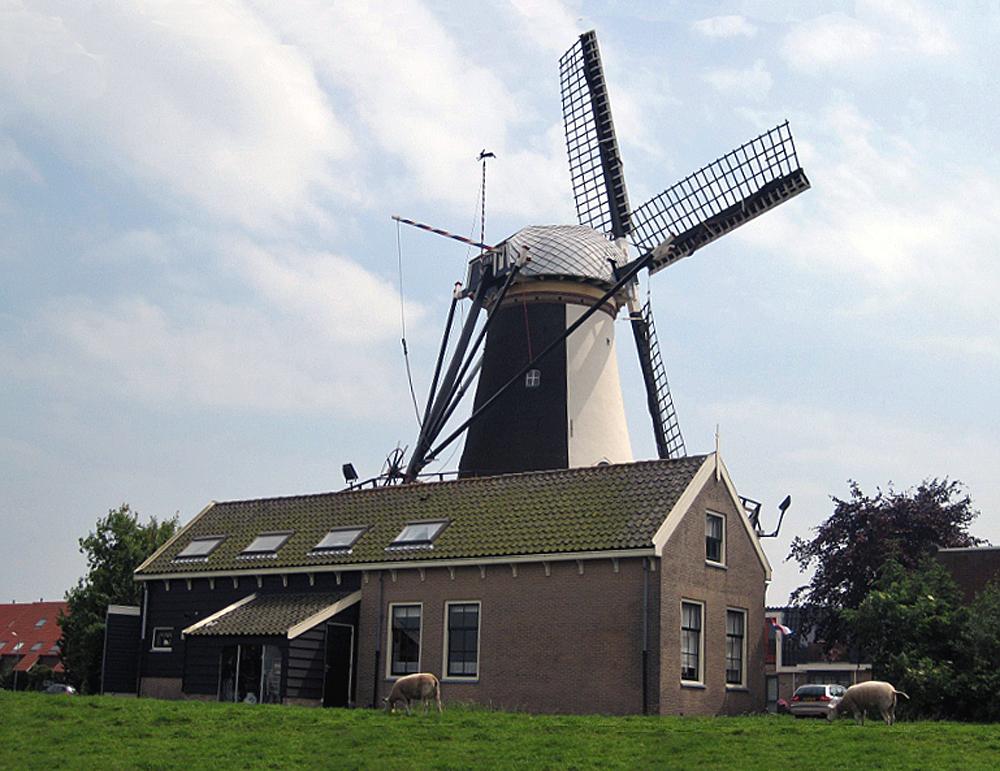 5, Molen 00938 Korenmolen De Haas (Benthuizen), Hier is duidelijk te zien dat molen De Haas een witte en een zwarte zijde heeft. Gert Klooster (20-6-2012). | Database Nederlandse molens
