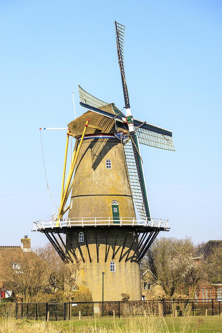 Molen 04147 Den Arend (Bergambacht), Frank Hendriks (11-3-2022) | Database Nederlandse molens