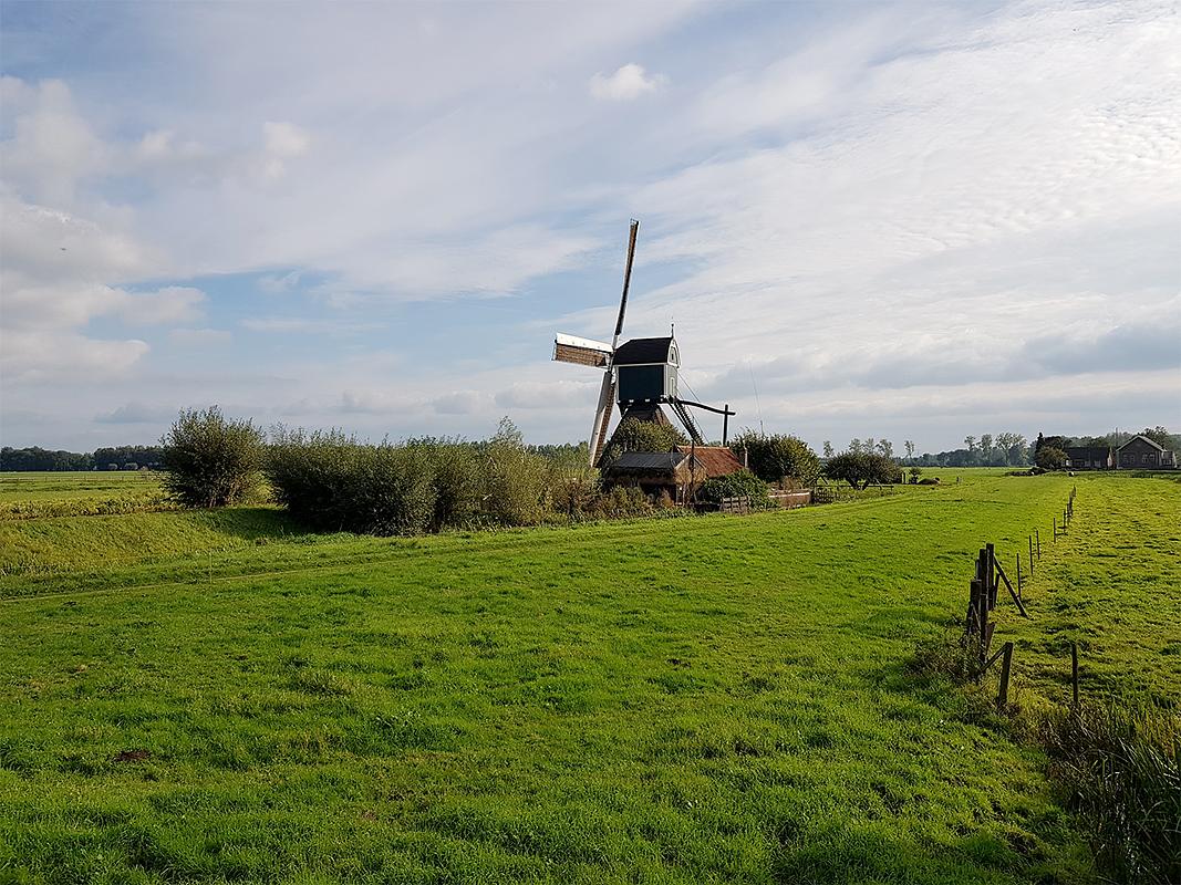 3, Molen 02564 Wingerdse Molen (Bleskensgraaf), Pieter Zuijkerbuijk (5-10-2019) | Database Nederlandse molens
