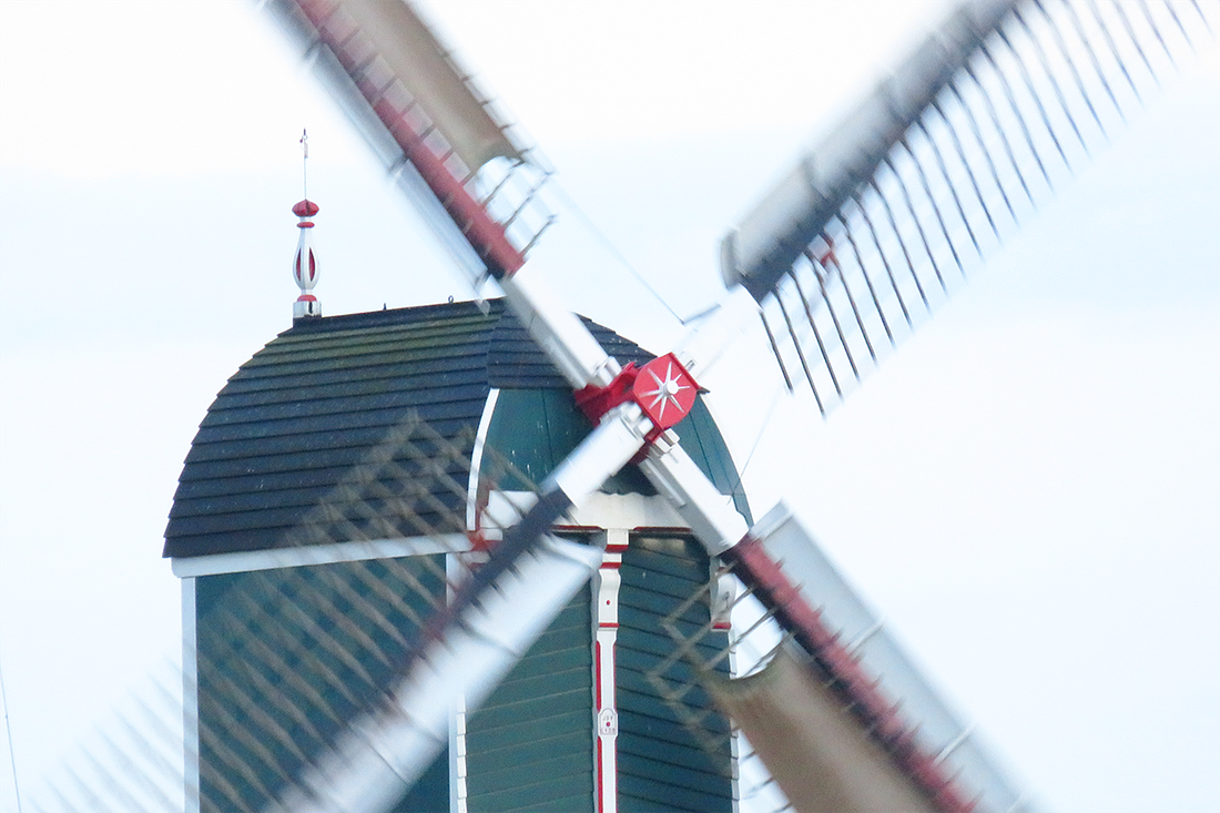 6, Molen 02564 Wingerdse Molen (Bleskensgraaf), William Bouter (26-11-2017) | Database Nederlandse molens