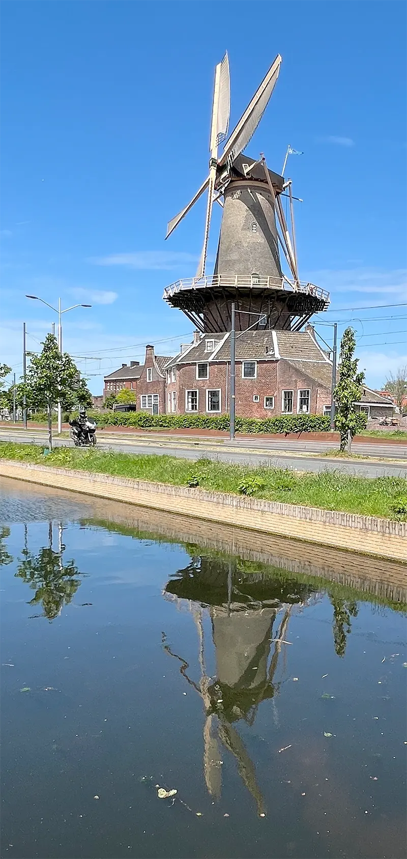 Molen 03503 De Roos (Delft), Inge van Kasteren (14-5-2022)De Roos kan zich eindelijk weer spiegelen in water. Dit nadat de omgeving jarenlang behoorlijk op de proef was gesteld.  | Database Nederlandse molens