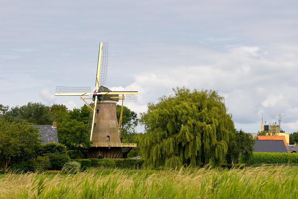 1, Molen 01886 De Eendracht (Dirksland), Irmo Snoek (20-6-2015) | Database Nederlandse molens