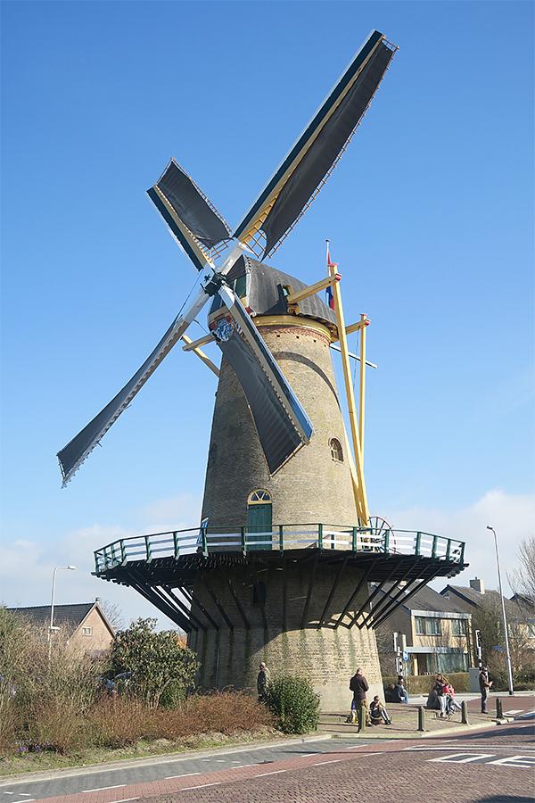 Molen 01527 De Vier Winden (Monster), Erwin Esselink (27-2-2021)De molen met zijn geheel vernieuwde wiekenkruis, voorzien van een gewijzigde kleurstelling van de roeden; molengeel in plaats van zwart. Ook zijn de zeeg in het hekwerk en de opstand van de voorzoom een stuk forser geworden. | Database Nederlandse molens