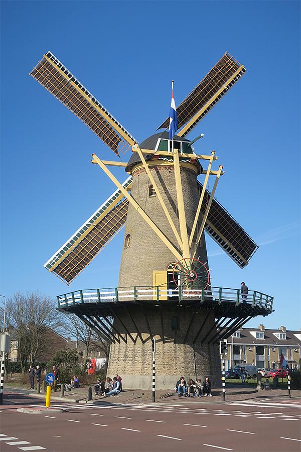 2, Molen 01527 De Vier Winden (Monster), Erwin Esselink (27-2-2021)De molen met de nieuwe, gele roeden. | Database Nederlandse molens