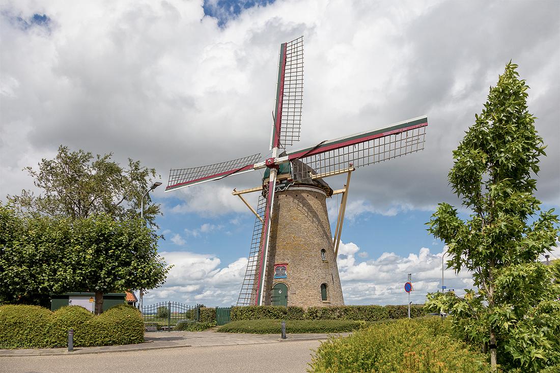1, Molen 01896 d'Oranjeboom (Nieuwe-Tonge), Bram van Broekhoven (28-07-2020) | Database Nederlandse molens