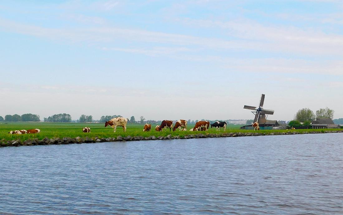 1, Molen 06402 Adermolen (Rijpwetering), Piet Glasbergen (12-5-2018) | Database Nederlandse molens
