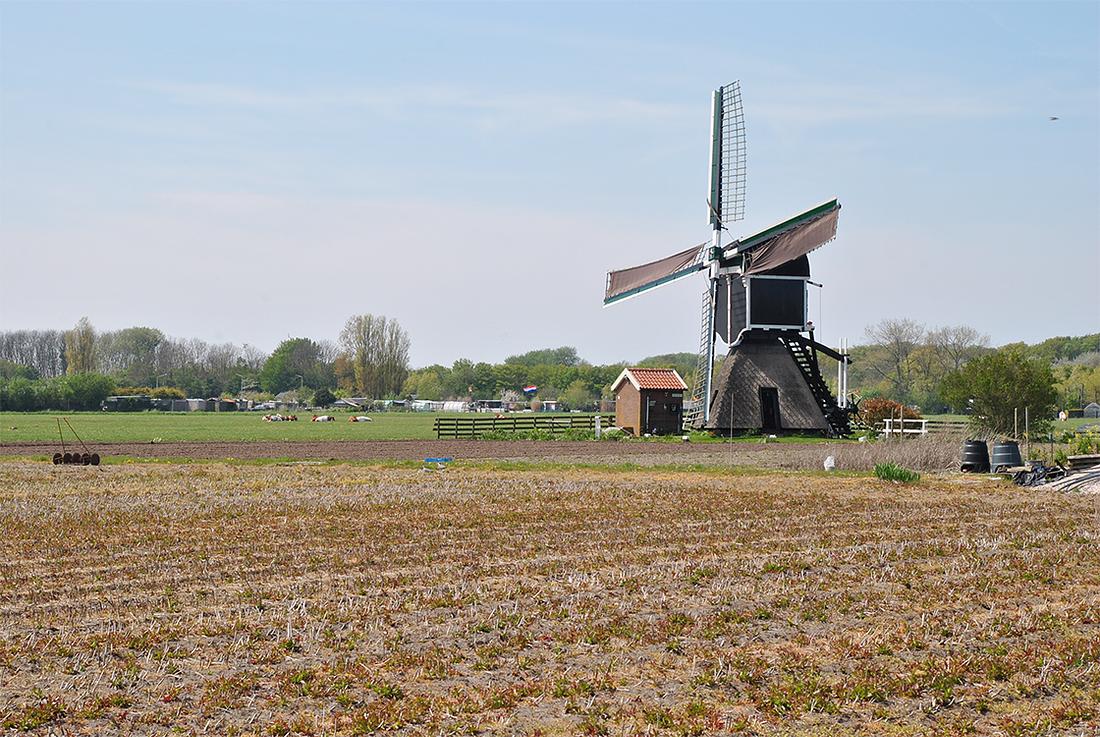 1, Molen 01779 Hoogewegse Molen (Noordwijk), Kees Kammeraat (6-5-2016) | Database Nederlandse molens