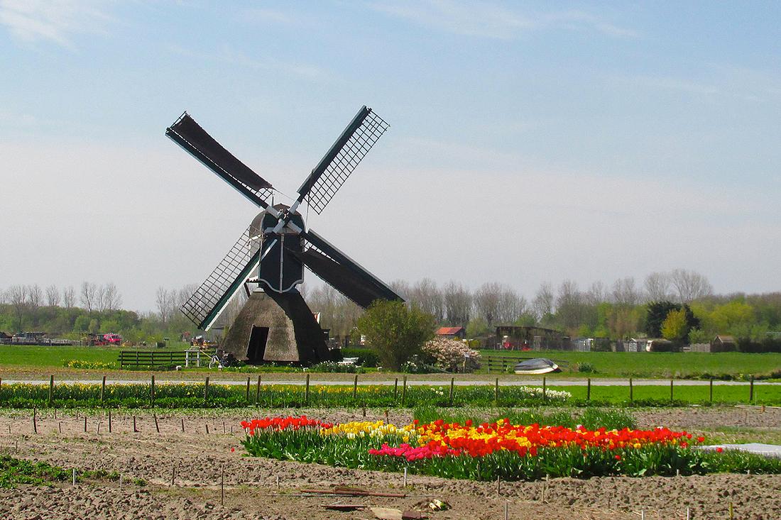 6, Molen 01779 Hoogewegse Molen (Noordwijk), Piet Glasbergen (21-4-2016) | Database Nederlandse molens