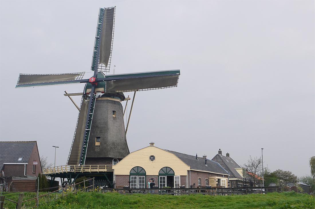 2, Molen 03525 Windlust (Nootdorp), Matthieu Hoogduin (5-4-2014). | Database Nederlandse molens