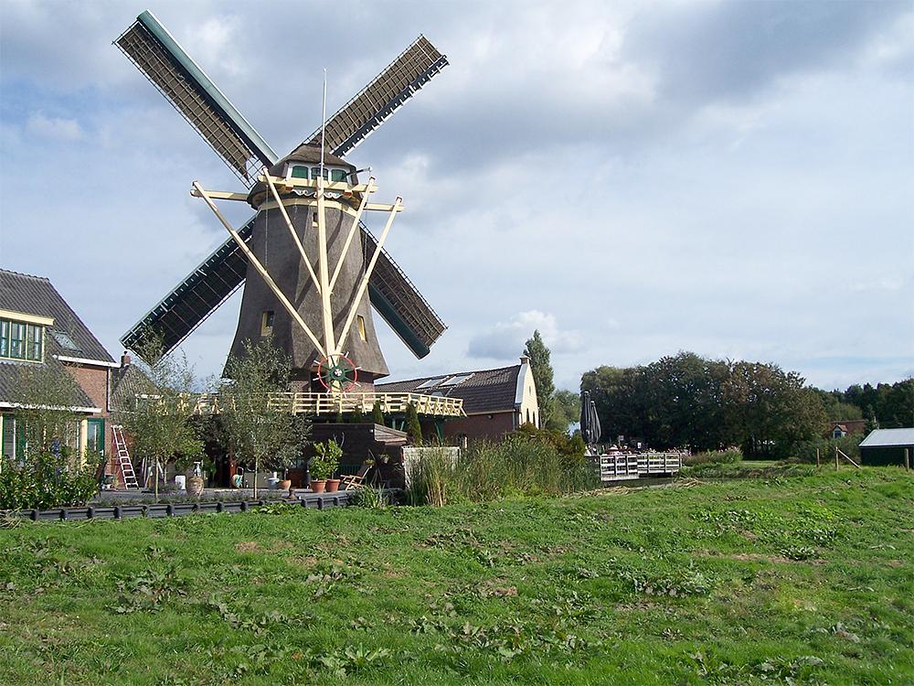 5, Molen 03525 Windlust (Nootdorp), Cock Weerheim, molenaar op deze molen (8-10-2016) | Database Nederlandse molens