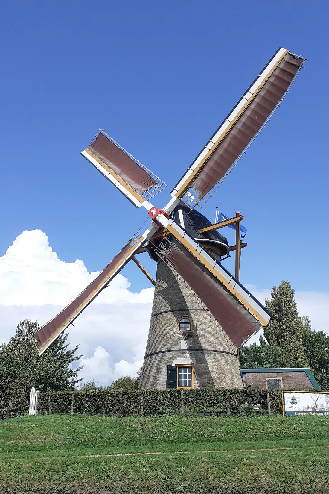 Molen 01908 (Naamloos) (Oostvoorne), René Kleijn (26-8-2023) | Database Nederlandse molens