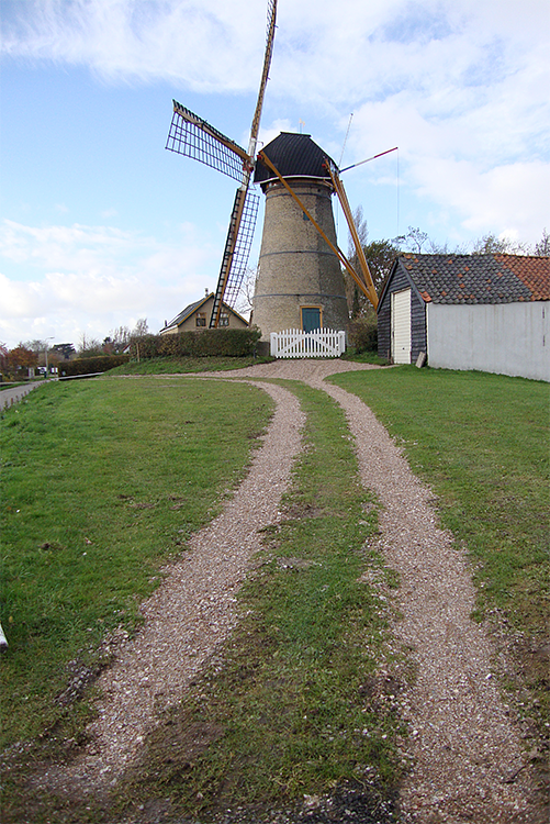 4, Molen 01908 (Naamloos) (Oostvoorne), Jorrit de Laat (16-7-2016). De molen met het pas gereconstrueerde pad naar de molen en de gekapte bomen op het noorden. Ook is een hek verwijderd. | Database Nederlandse molens