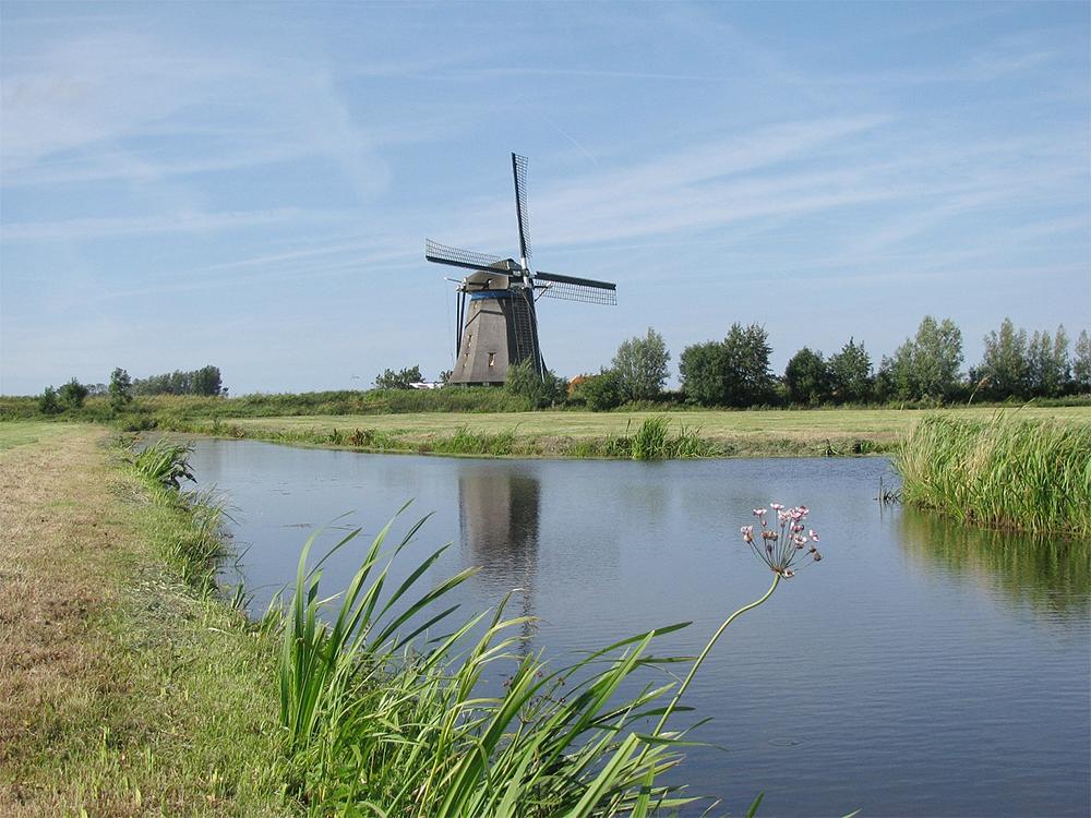 1, Molen 01813 Blauwe Molen (Rijpwetering), Piet Glasbergen (6-8-2015) | Database Nederlandse molens
