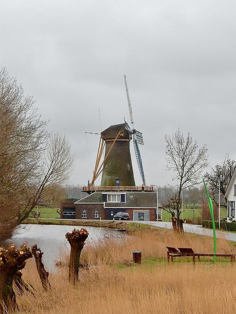 3, Molen 02565 De Hoop (Oud-Alblas), Tony Hop (20-2-2016) | Database Nederlandse molens