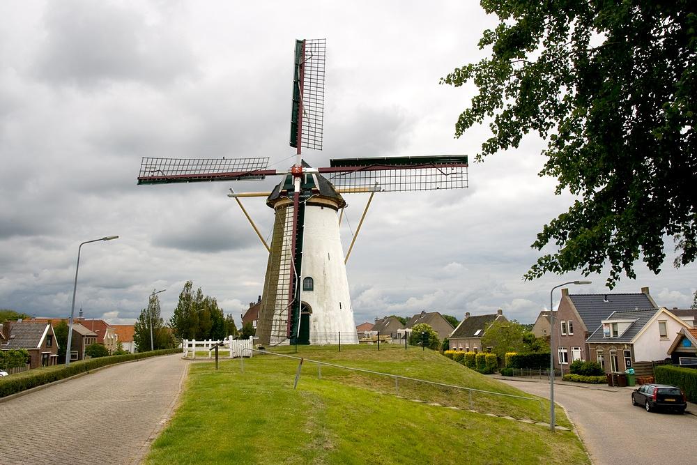 1, Molen 01895 De Korenbloem (Oude-Tonge), Irmo Snoek (20-6-2015) | Database Nederlandse molens