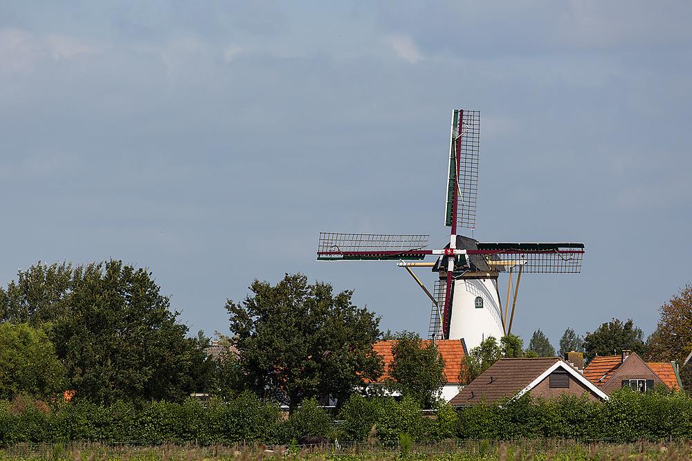 4, Molen 01895 De Korenbloem (Oude-Tonge), Bram van Broekhoven (15-9-2012). | Database Nederlandse molens