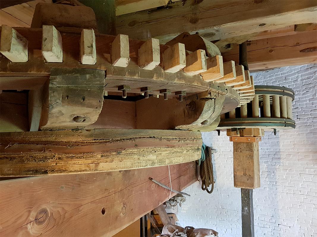 15, Molen 01895 De Korenbloem (Oude-Tonge), Pieter Zuijkerbuijk (28-09-2019) | Database Nederlandse molens