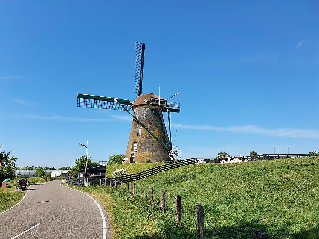 3, Molen 01005 Googermolen (Roelofarendsveen), Pieter Zuijkerbuijk (17-5-2020) | Database Nederlandse molens