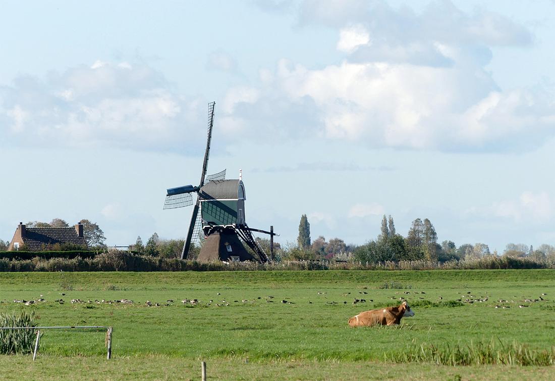 3, Molen 00099 Oukoopse Molen (Oukoop (Reeuwijk)), Piet Glasbergen (29-10-2019) | Database Nederlandse molens