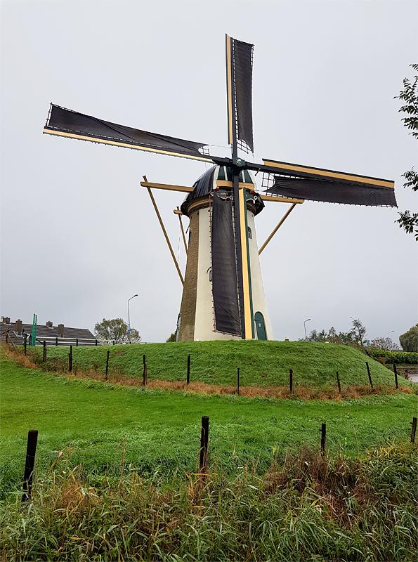 Molen 03605 Simonia (Piershil), Pieter Zuijkerbuijk (12-10-2019) | Database Nederlandse molens