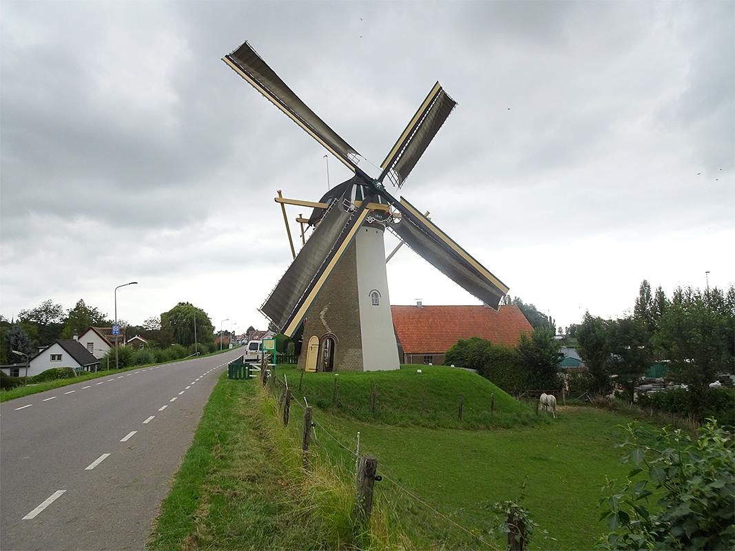 1, Molen 03605 Simonia (Piershil), Jan de Witte (3-8-2019)Thans is de voorheen natuurlijke grijze stuclaag van een witte coating voorzien. De kluften en borden zijn nu geel ipv voorheen wit. | Database Nederlandse molens