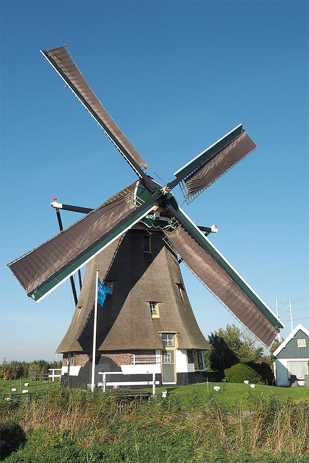 Molen 01004 Moppemolen (Rijpwetering), Jan Joore (24-10-2021) | Database Nederlandse molens