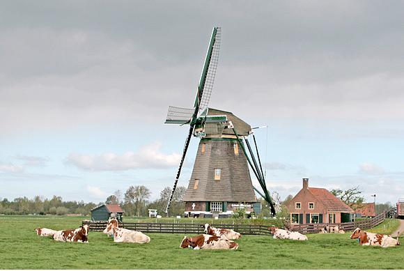 5, Molen 01809 Waterloosmolen (Rijpwetering), Ton Koorevaar (4-5-2010) | Database Nederlandse molens
