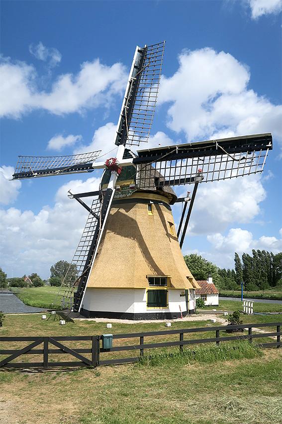 1, Molen 12343 Schaapweimolen (Rijswijk), Erwin Esselink (23-5-2020)De Schaapweimolen met een nieuw rietdek op het achtkant. | Database Nederlandse molens