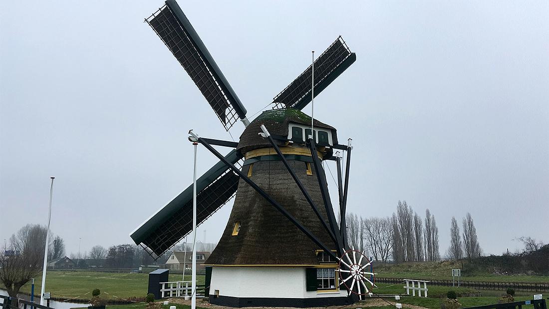 5, Molen 12343 Schaapweimolen (Rijswijk), Bjorn Jannink (1-2-2019) | Database Nederlandse molens